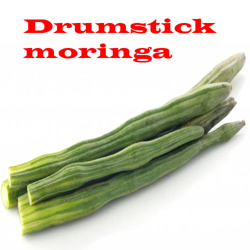 drumstick moringa